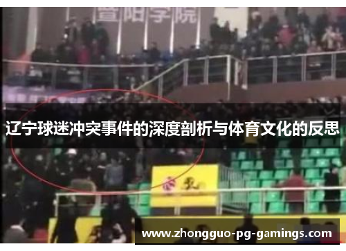 辽宁球迷冲突事件的深度剖析与体育文化的反思