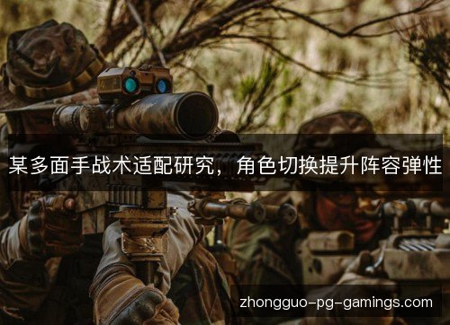 某多面手战术适配研究，角色切换提升阵容弹性